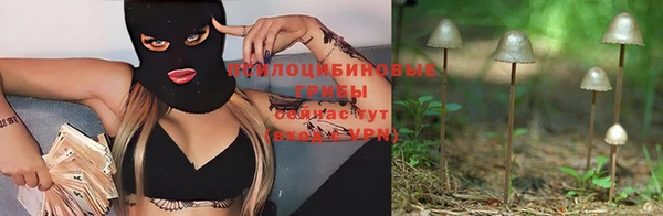 мескалин Белокуриха